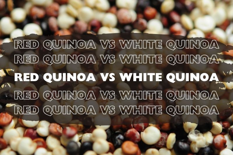 Red Quinoa vs White Quinoa Basic Comparison