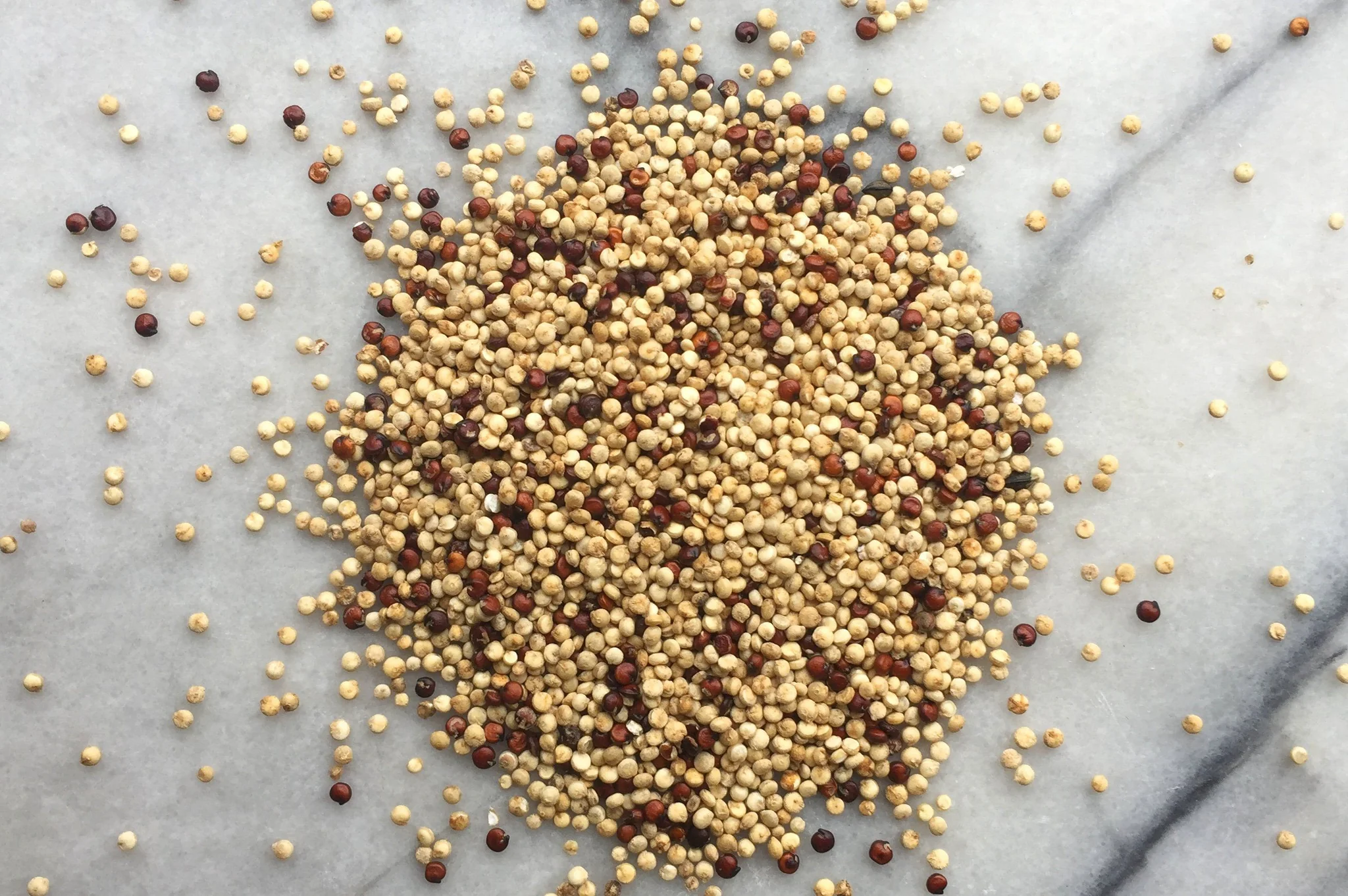Read more about the article Red Quinoa vs White Quinoa – A Detailed Comparison
