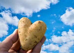 Read more about the article Can You Eat Undercooked Potatoes? Why You Shouldn’t